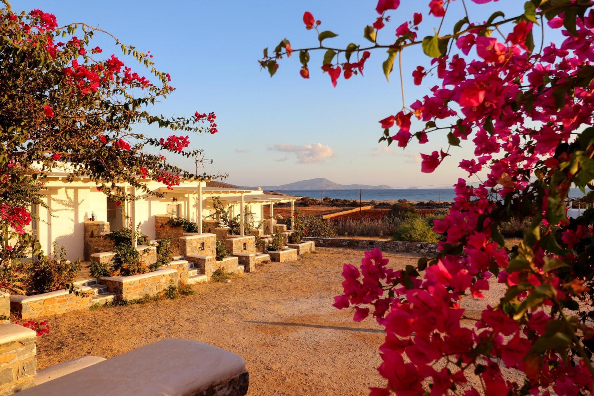Sunny Studios Naxos Aliko Beach Eksteriør billede