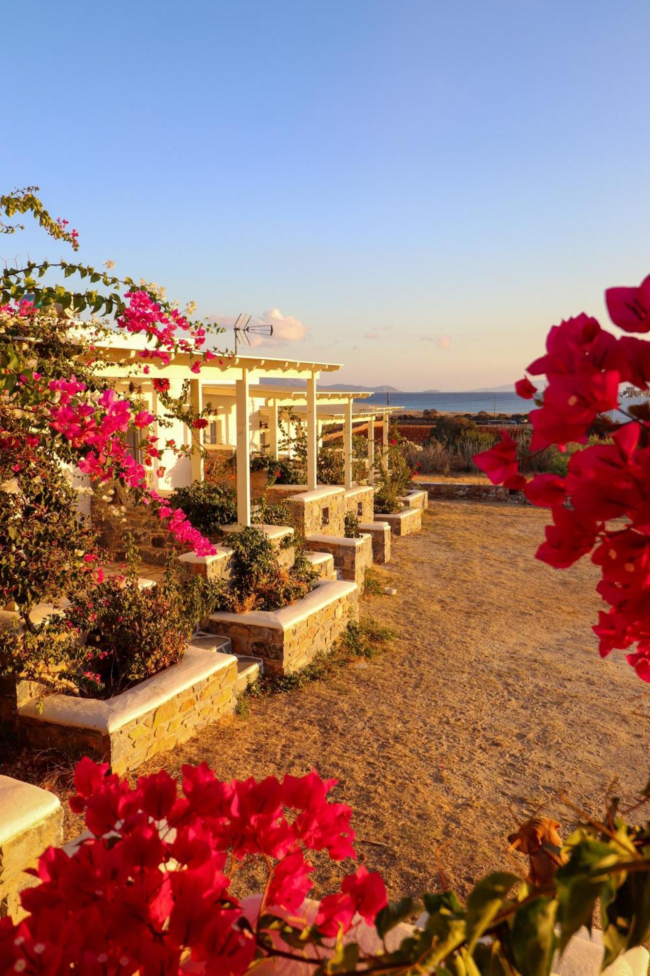 Sunny Studios Naxos Aliko Beach Eksteriør billede